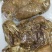 【熟牛头肉】五香牛头肉（带皮）