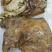 【熟牛头肉】五香牛头肉（带皮）