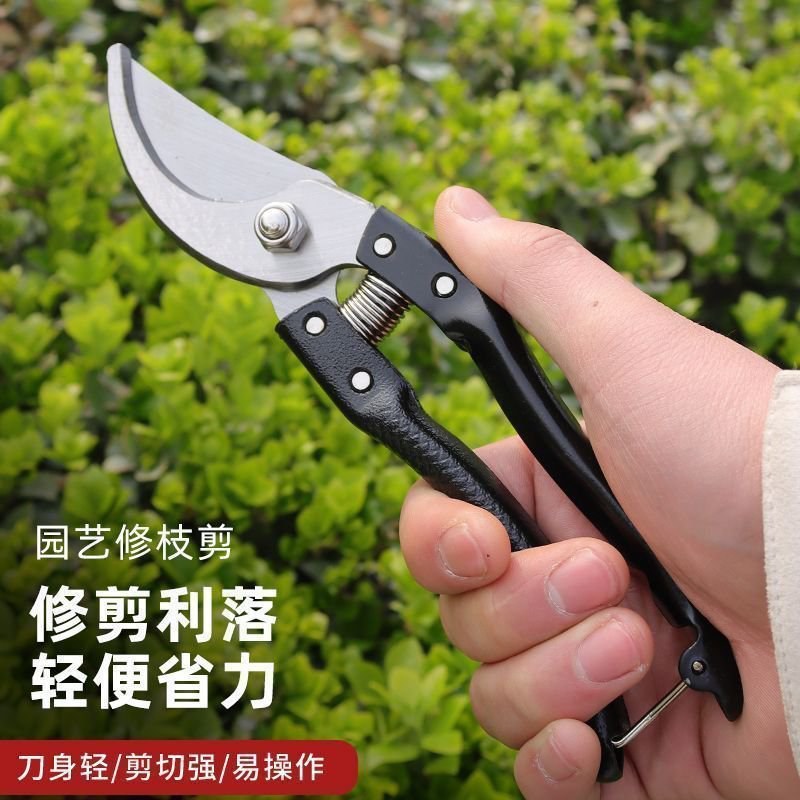 SK5强力园艺剪不锈钢省力修枝剪果树粗枝专用