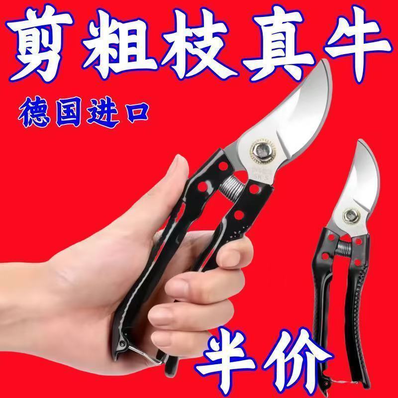 SK5强力园艺剪不锈钢省力修枝剪果树粗枝专用