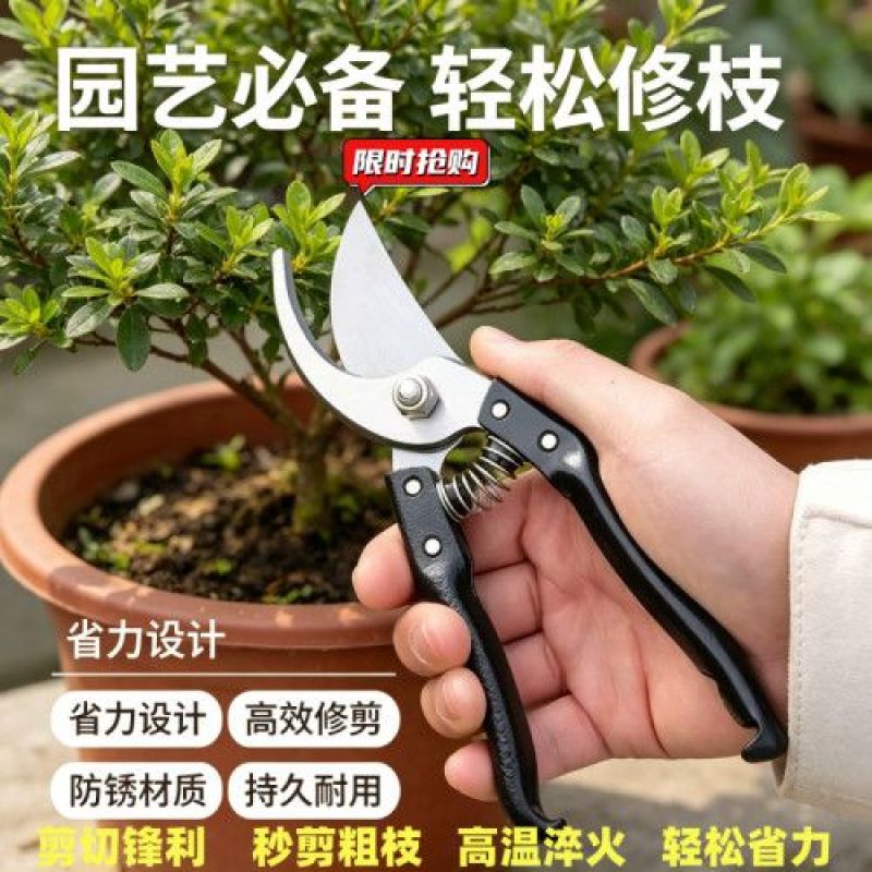 SK5强力园艺剪不锈钢省力修枝剪果树粗枝专用
