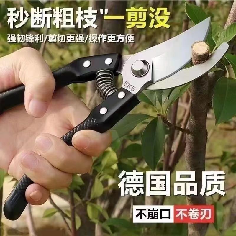 SK5强力园艺剪不锈钢省力修枝剪果树粗枝专用