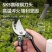 SK5强力园艺剪不锈钢省力修枝剪果树粗枝专用