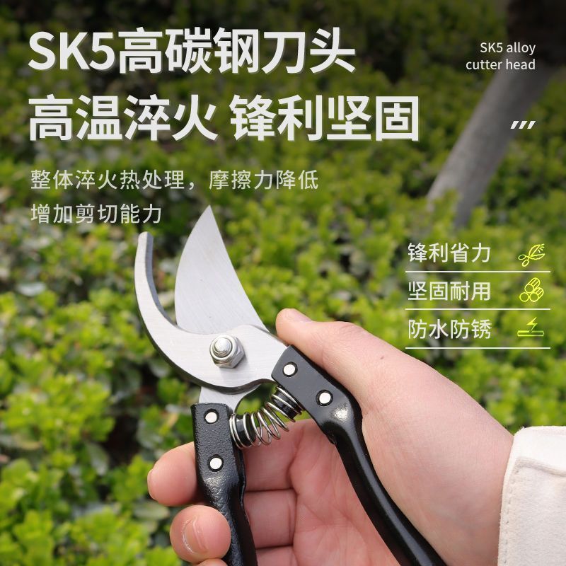 SK5强力园艺剪不锈钢省力修枝剪果树粗枝专用