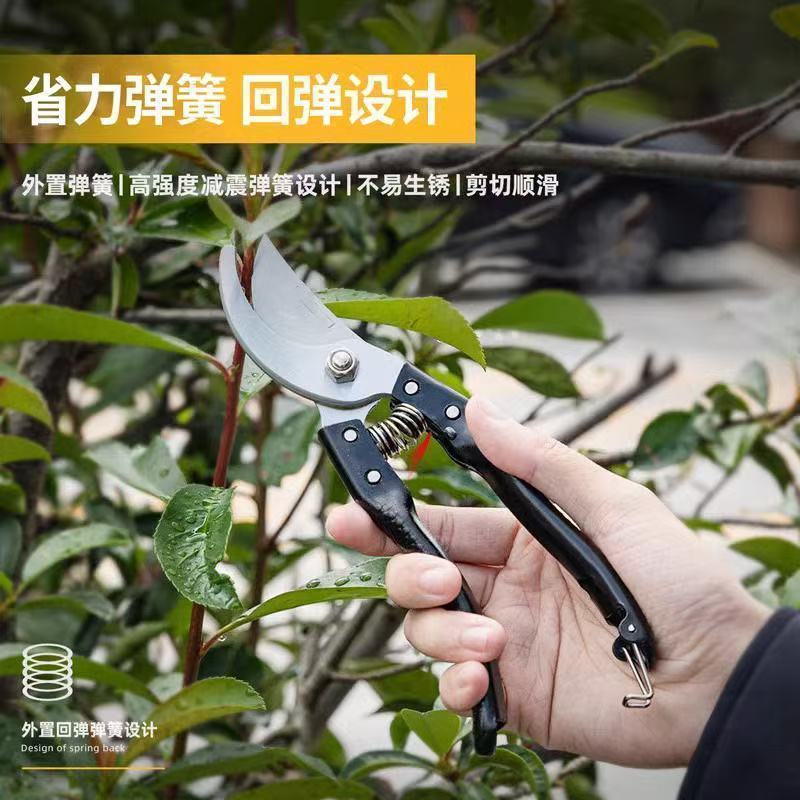 SK5强力园艺剪不锈钢省力修枝剪果树粗枝专用