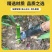 新款掰玉米丫子神器农用掰苞米丫除苗打叉红薯掐腕专用工具免