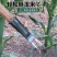 新款掰玉米丫子神器农用掰苞米丫除苗打叉红薯掐腕专用工具免