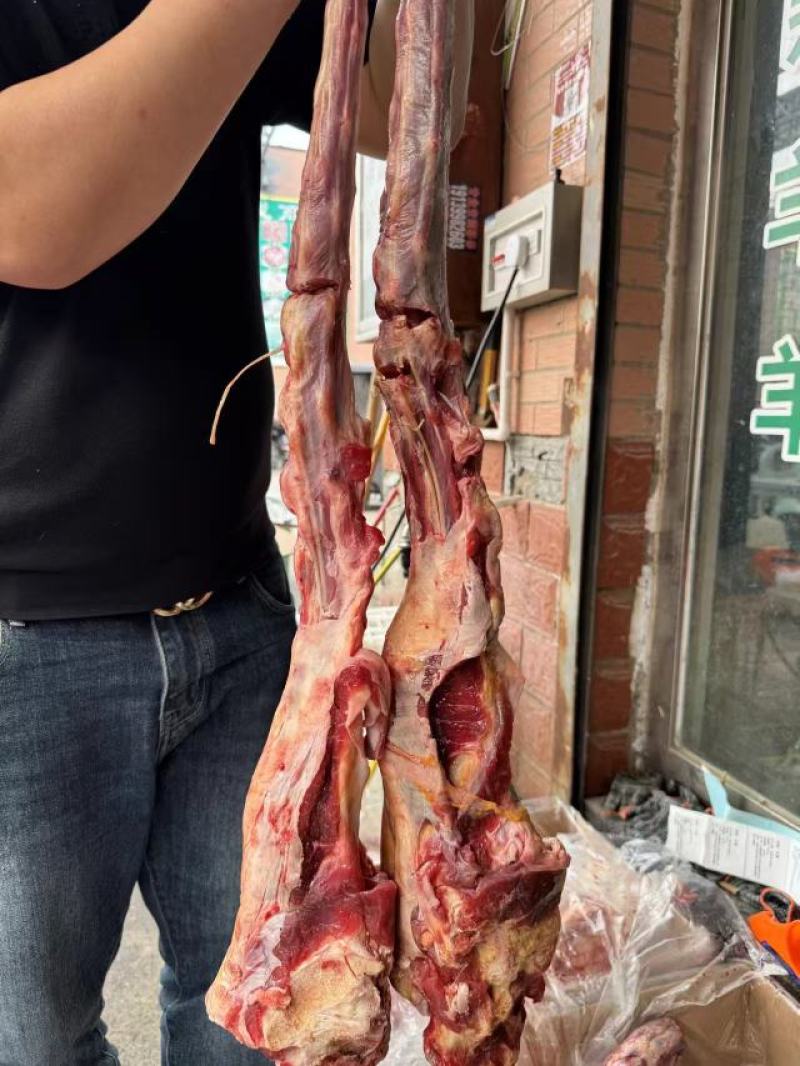 牛尾