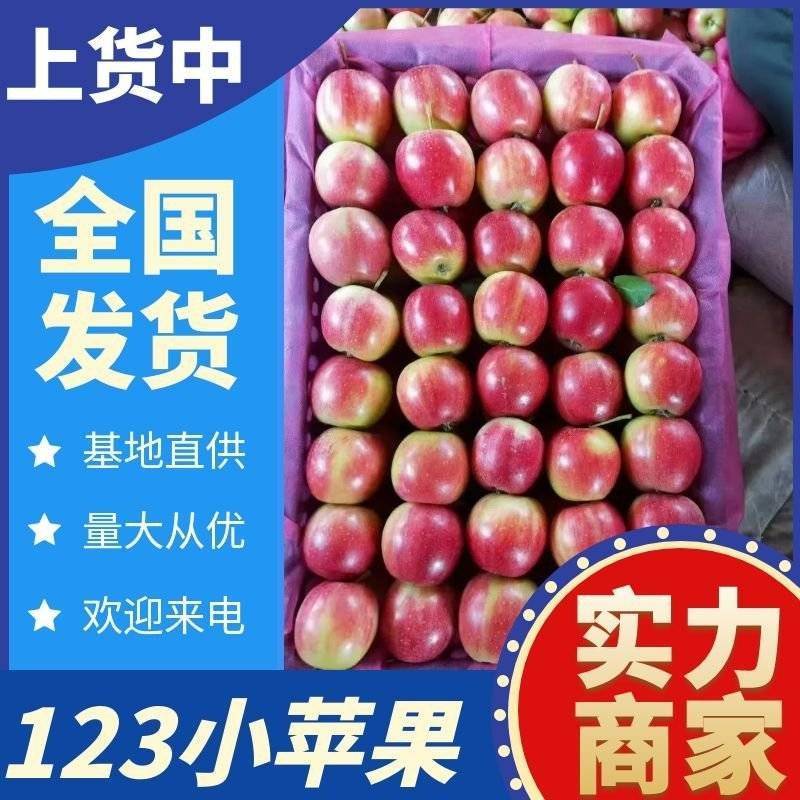 『123小苹果』东北特产小苹果/产地代发全国/现摘现发