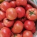 西红柿量大