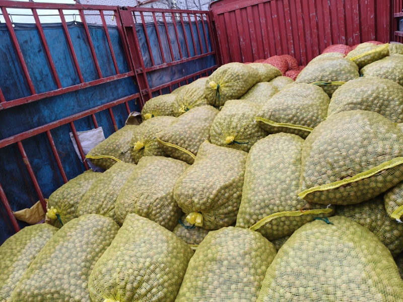 广东潮汕赤皮油柑果余甘果当季鲜果现摘现发