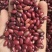 小颗粒红芸豆短红芸豆豆类杂粮红扁芸豆八宝粥米原料豆