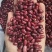 小颗粒红芸豆短红芸豆豆类杂粮红扁芸豆八宝粥米原料豆