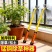 新款锄草神器工具多功能除杂草工具拔草农用工具铲草连根小耙