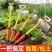 新款锄草神器工具多功能除杂草工具拔草农用工具铲草连根小耙