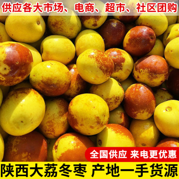一件代发陕西大荔冬枣对接各大电商平台社区团购批发市场销售