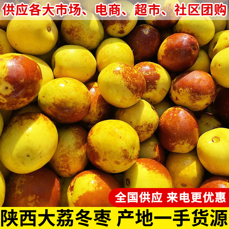 一件代发陕西大荔冬枣对接各大电商平台社区团购批发市场销售