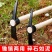 镐斧户外镐登山镐十字镐洋镐羊角锄头采药材挖笋树根农业工具