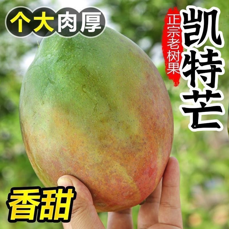 云南凯特芒芒果品质保证诚信经营欢迎联系接商超市场电商