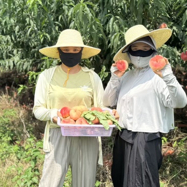 王母蟠桃