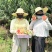 王母蟠桃