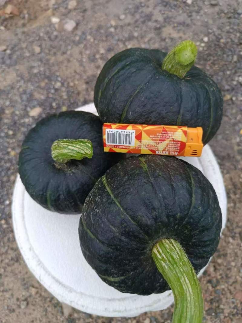 贝贝南瓜