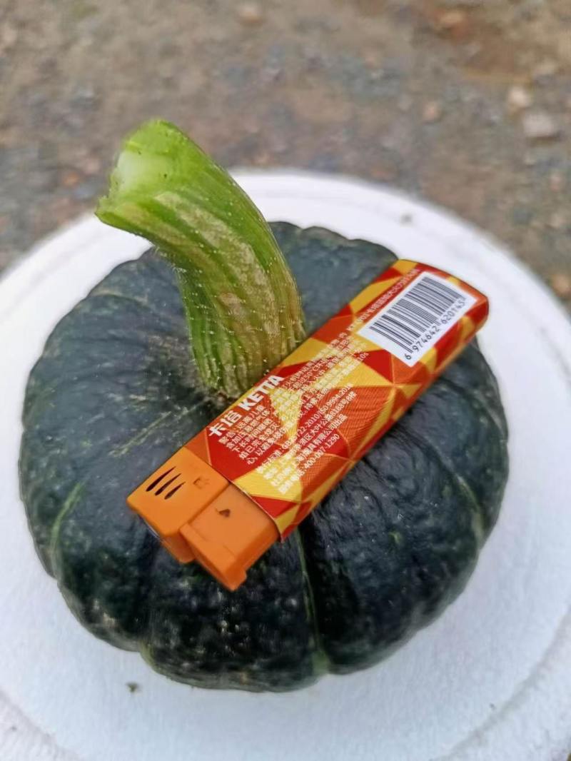 贝贝南瓜