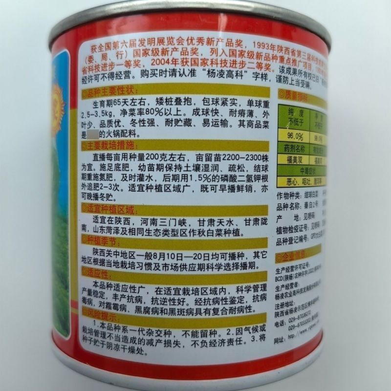 秦白2号大头白菜种子结球紧实矮桩叠抱冬性好外叶少白菜种子