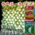 秦白2号大头白菜种子结球紧实矮桩叠抱冬性好外叶少白菜种子