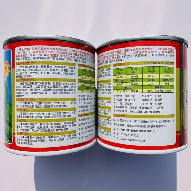秦白2号大头白菜种子结球紧实矮桩叠抱冬性好外叶少白菜种子