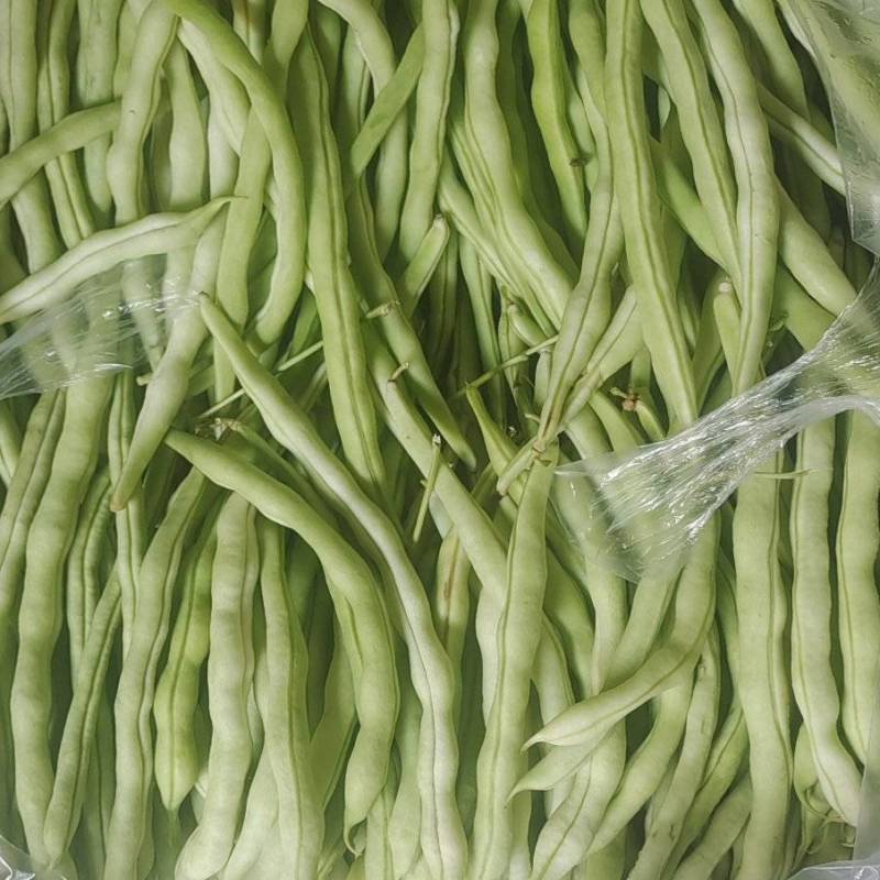 白豆王豆角