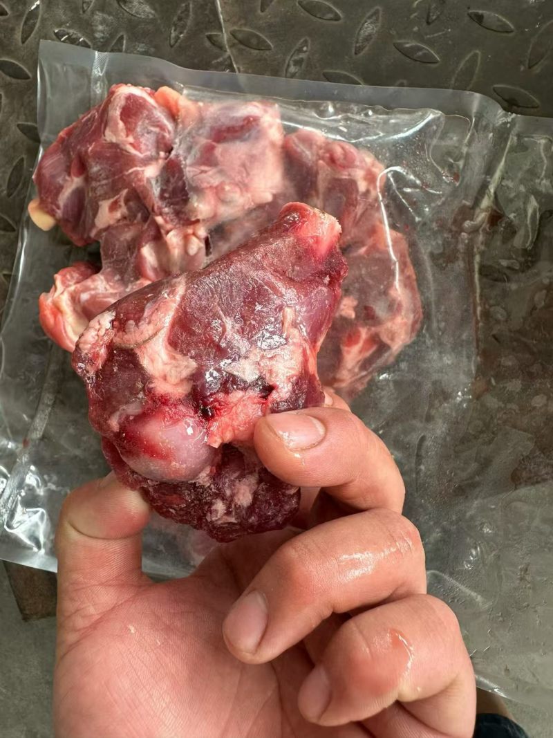 河北满肉羊棒骨