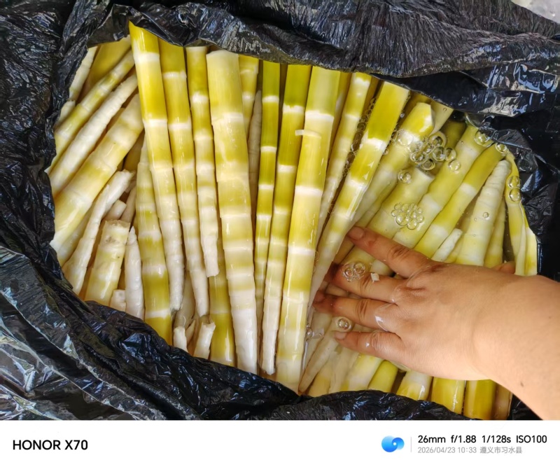 水竹笋最后5顿