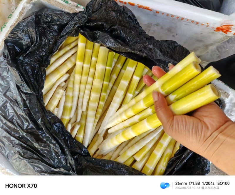 水竹笋最后5顿