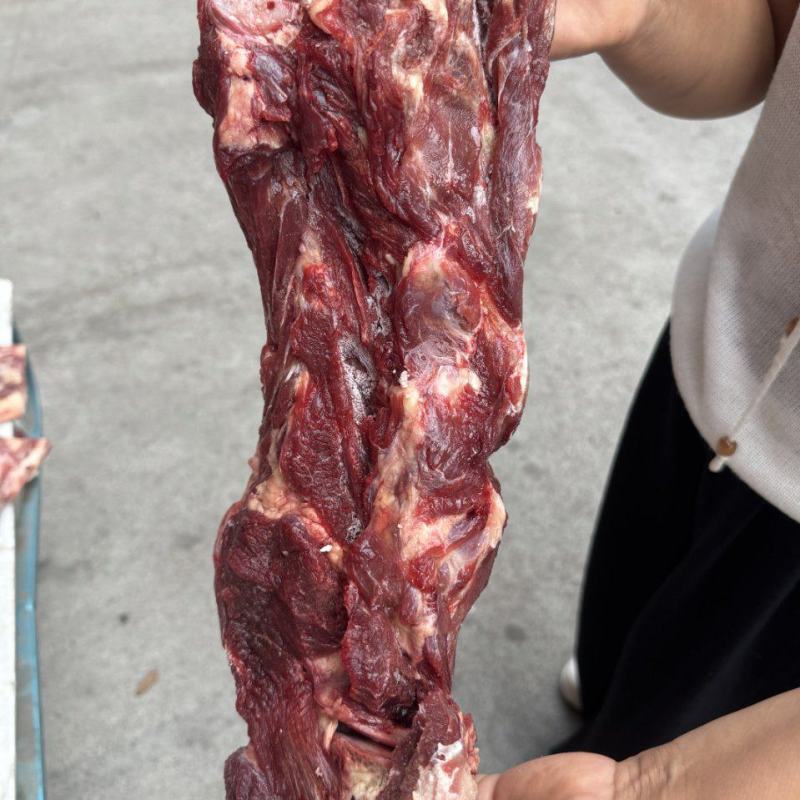 牛脖骨