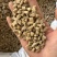 怀牛膝实物拍摄发货如图保庆药业规格多怀牛膝牛膝