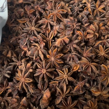 不熏硫广西大红干八角日晒足干大料卤煮香料源头货源