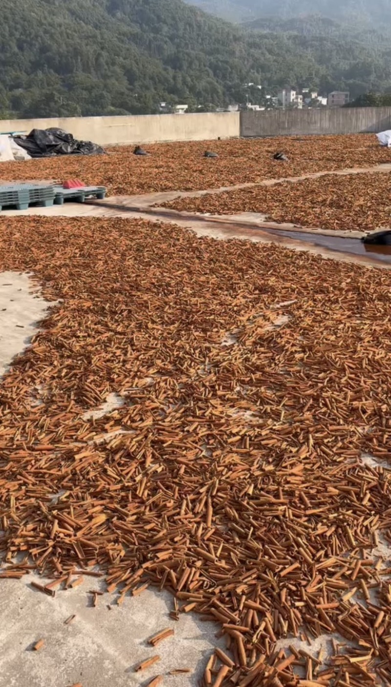 不熏硫广西大红干八角日晒足干大料卤煮香料源头货源