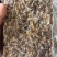蟹黄现货，大量现货量大价优，支持电商市场商超批发