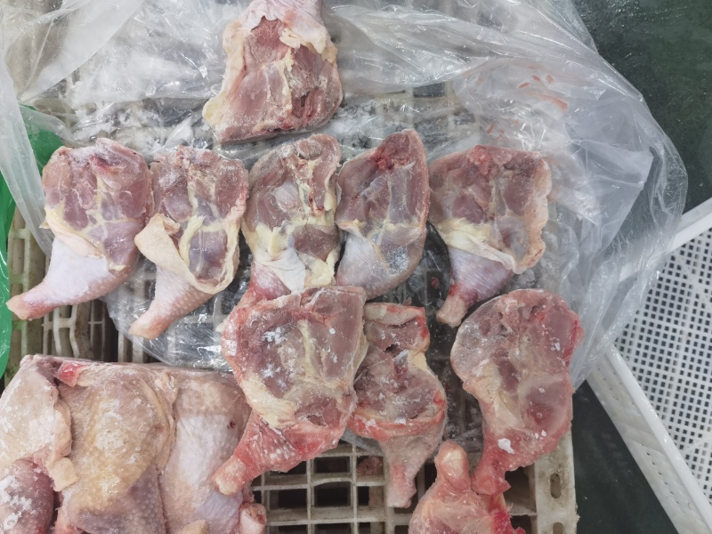 二级老鸡排腿