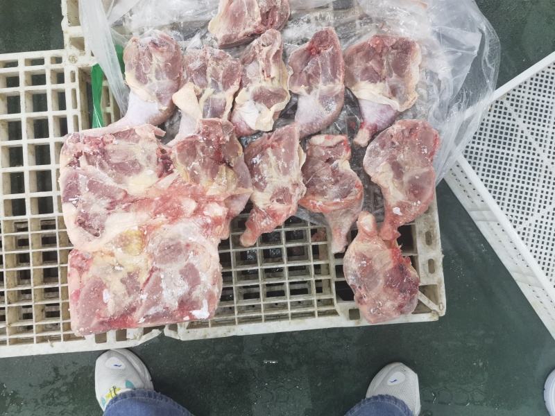 二级老鸡排腿