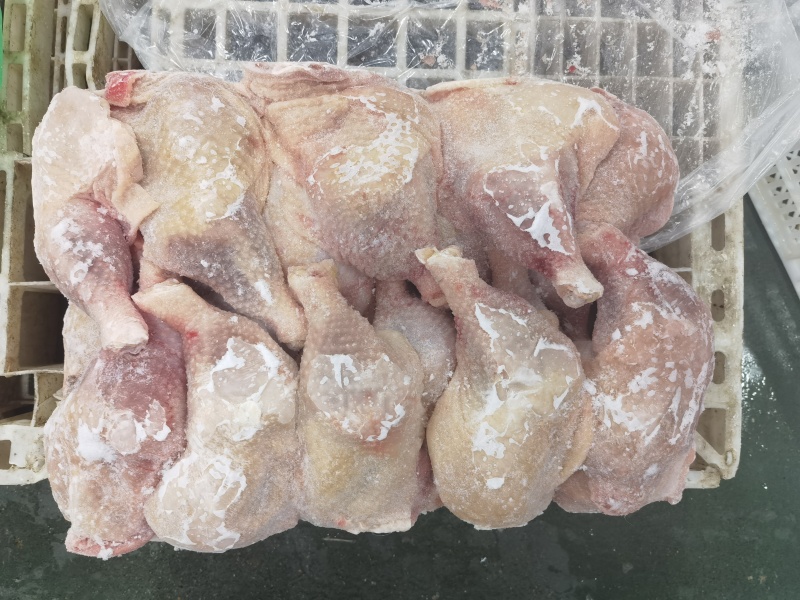 二级老鸡排腿
