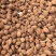 砂仁中药材正宗精选500g非春砂仁毛香料沙仁米煲汤泡茶