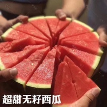 黑皮无籽西瓜产地大量供应中，爆汁纯甜，电商团购市场对接
