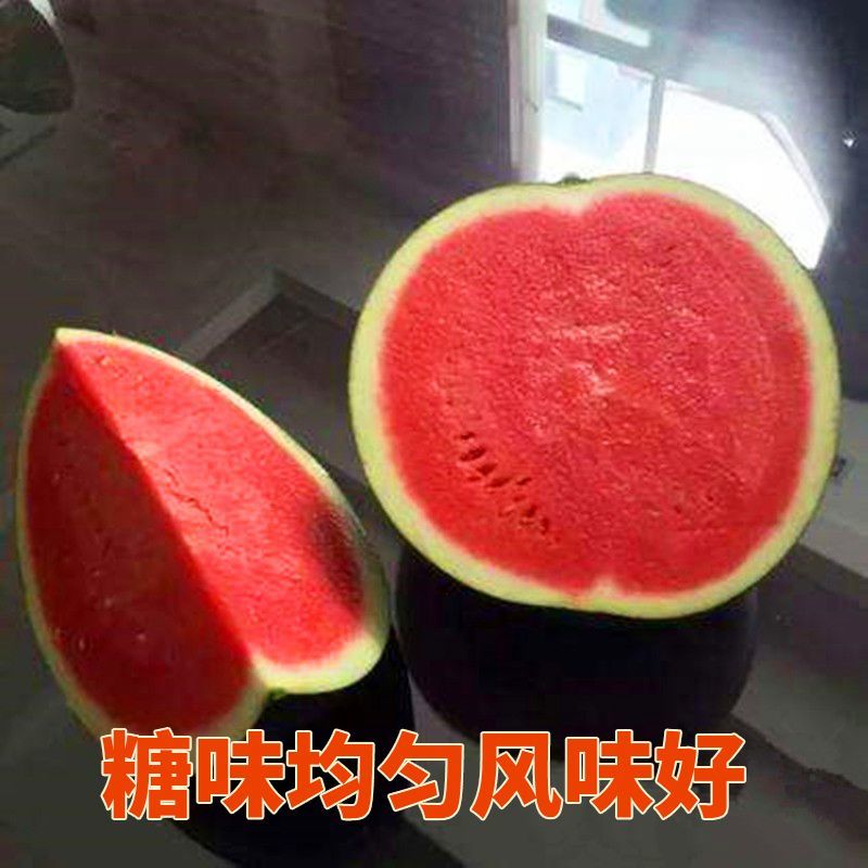 黑皮无籽西瓜产地大量供应中，爆汁纯甜，电商团购市场对接