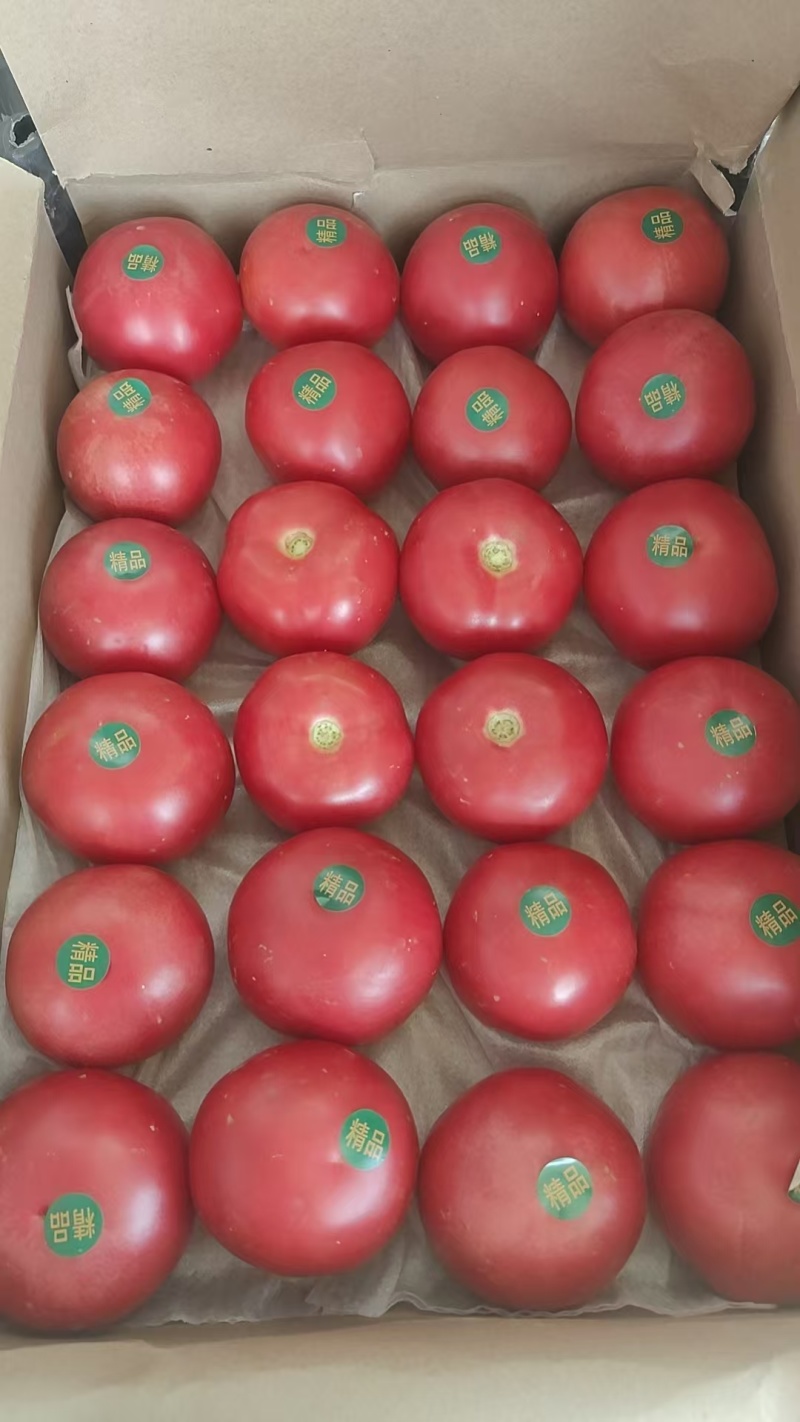 精品硬粉大中小都有货货源充足质量好量大价格可谈