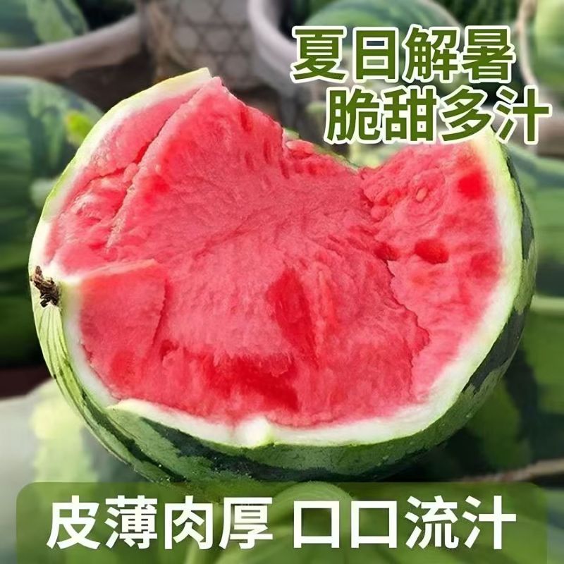 无籽美都西瓜/甘肃美都西瓜/甘肃庆阳无籽美都西瓜质量保证