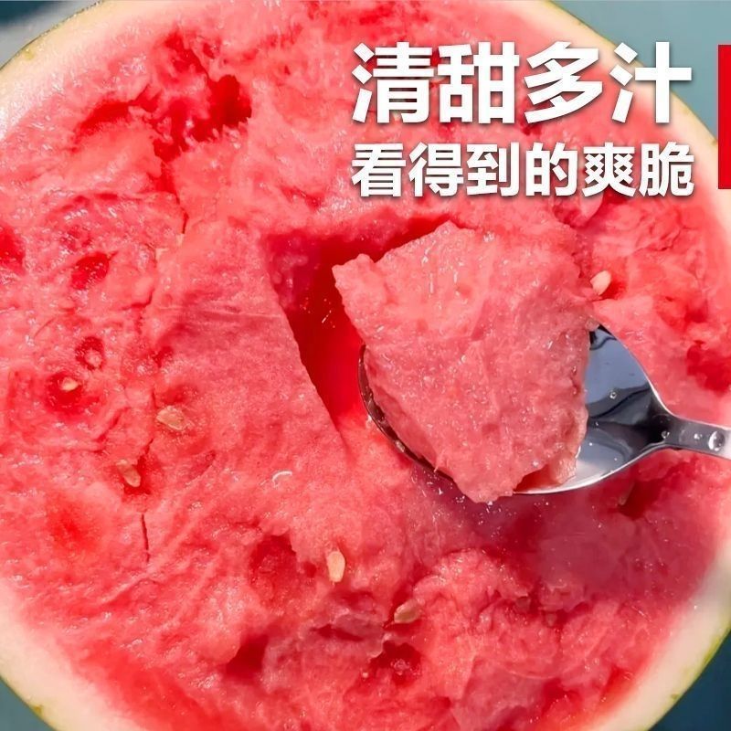 无籽美都西瓜/甘肃美都西瓜/甘肃庆阳无籽美都西瓜质量保证