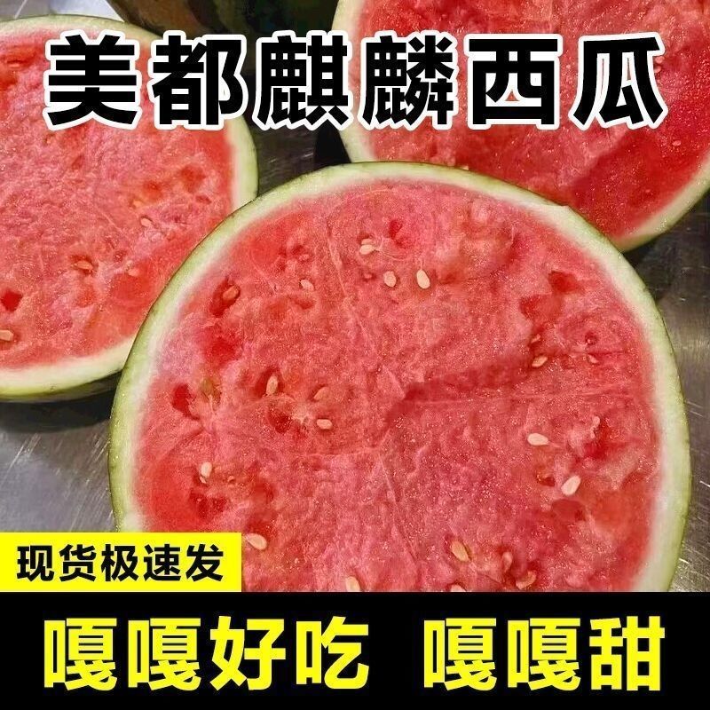 无籽麒麟西瓜大量上市产地直供品质保证，对接超市批发市场