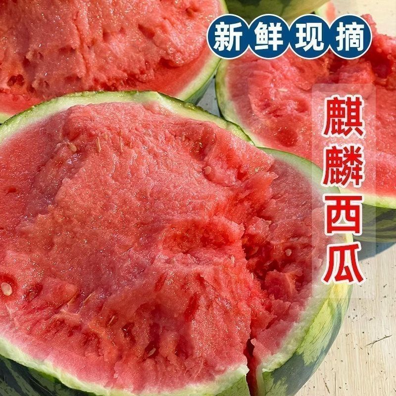 无籽麒麟西瓜大量上市产地直供品质保证，对接超市批发市场